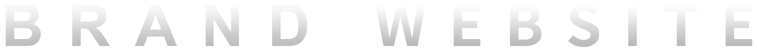 品牌網(wǎng)站建設(shè)